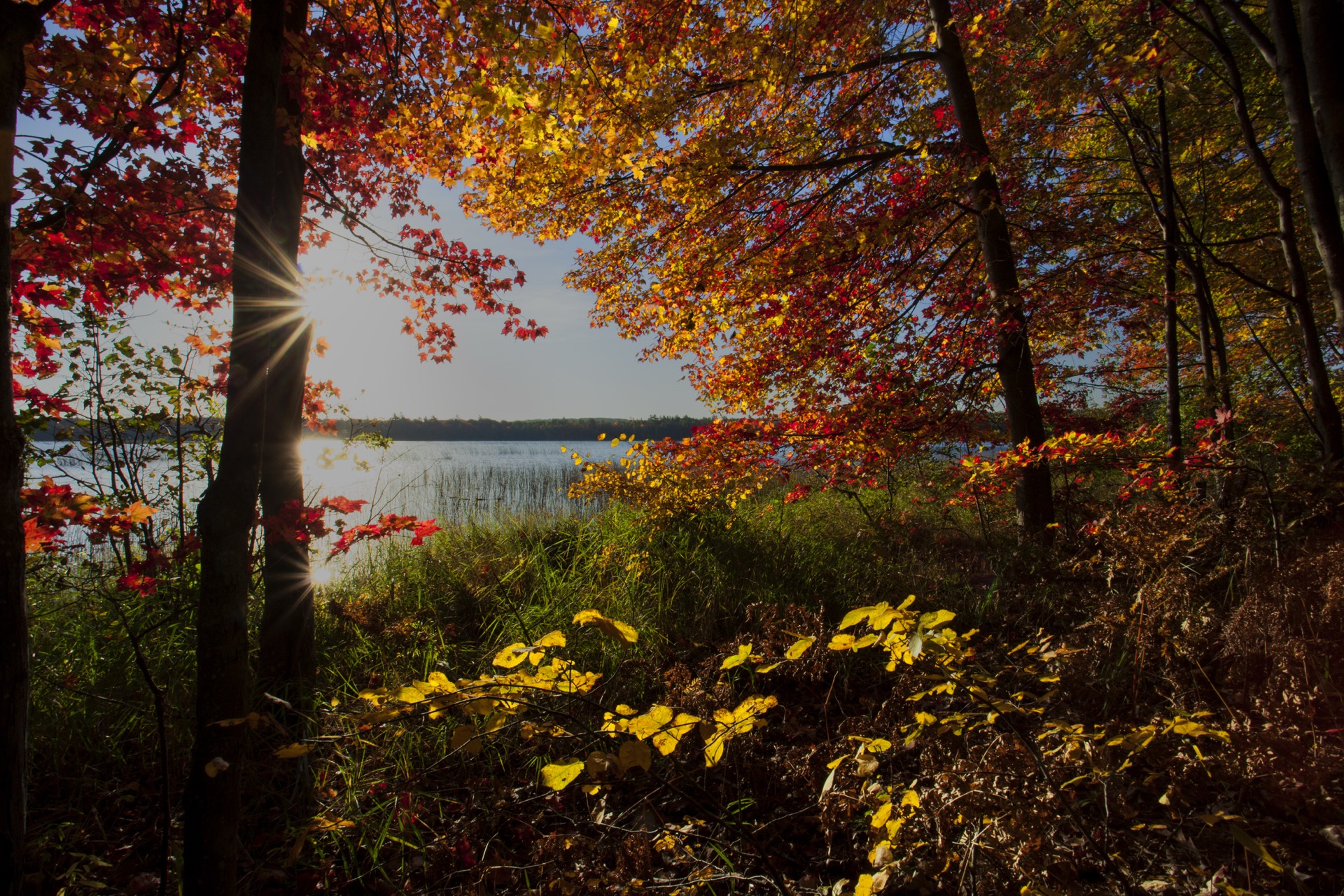 Autumn arrival — fall color over the lake, harvest mood